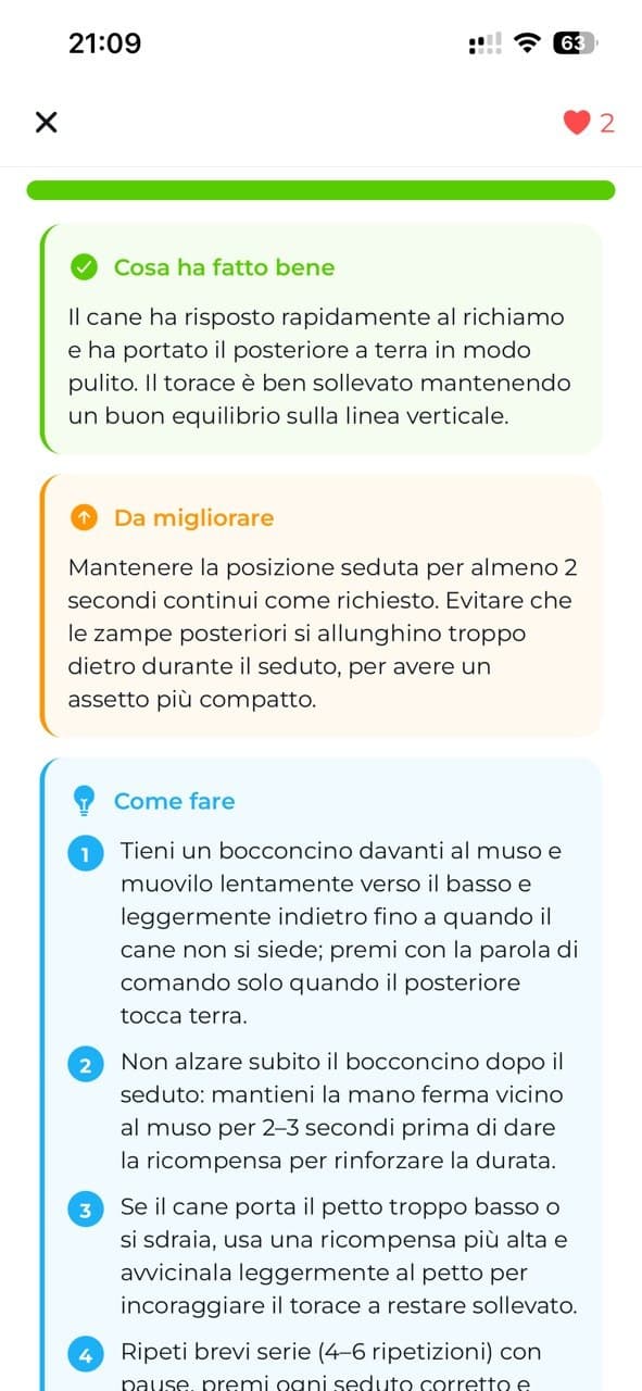 Training-Bildschirm in der Amico-Fido-App: XP, Streak, Leben, heutige Lektion und Stufenpfad