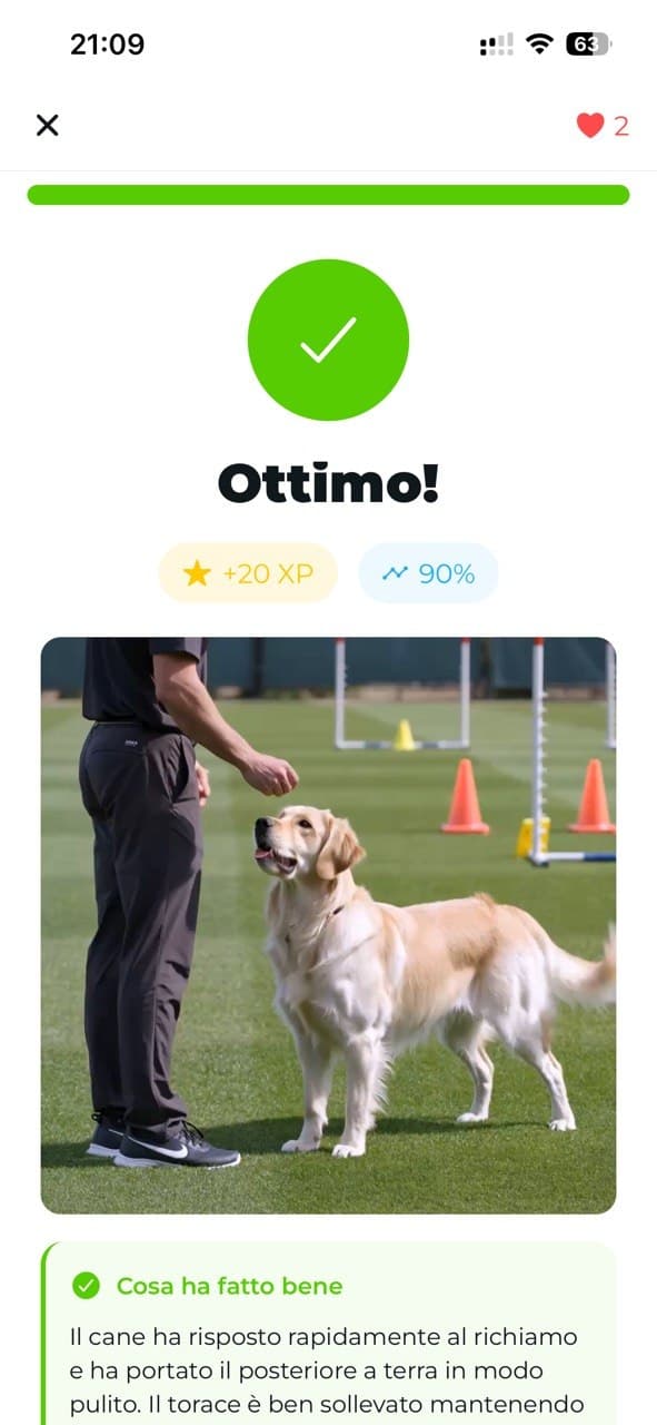 Lektion mit Erklärung, Beispielbild und Tipp